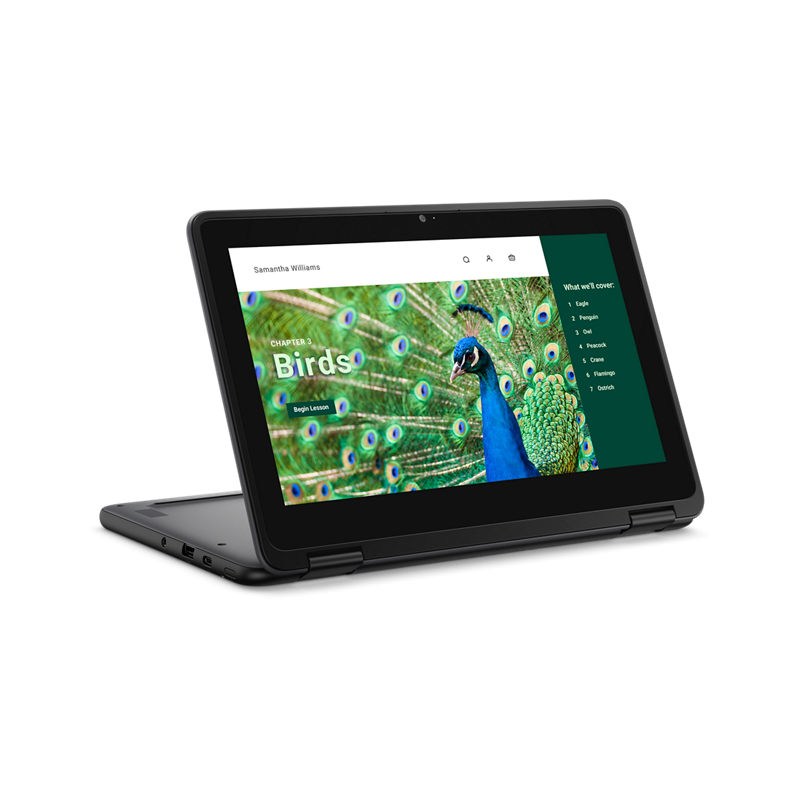 Dell 3120 Chromebook